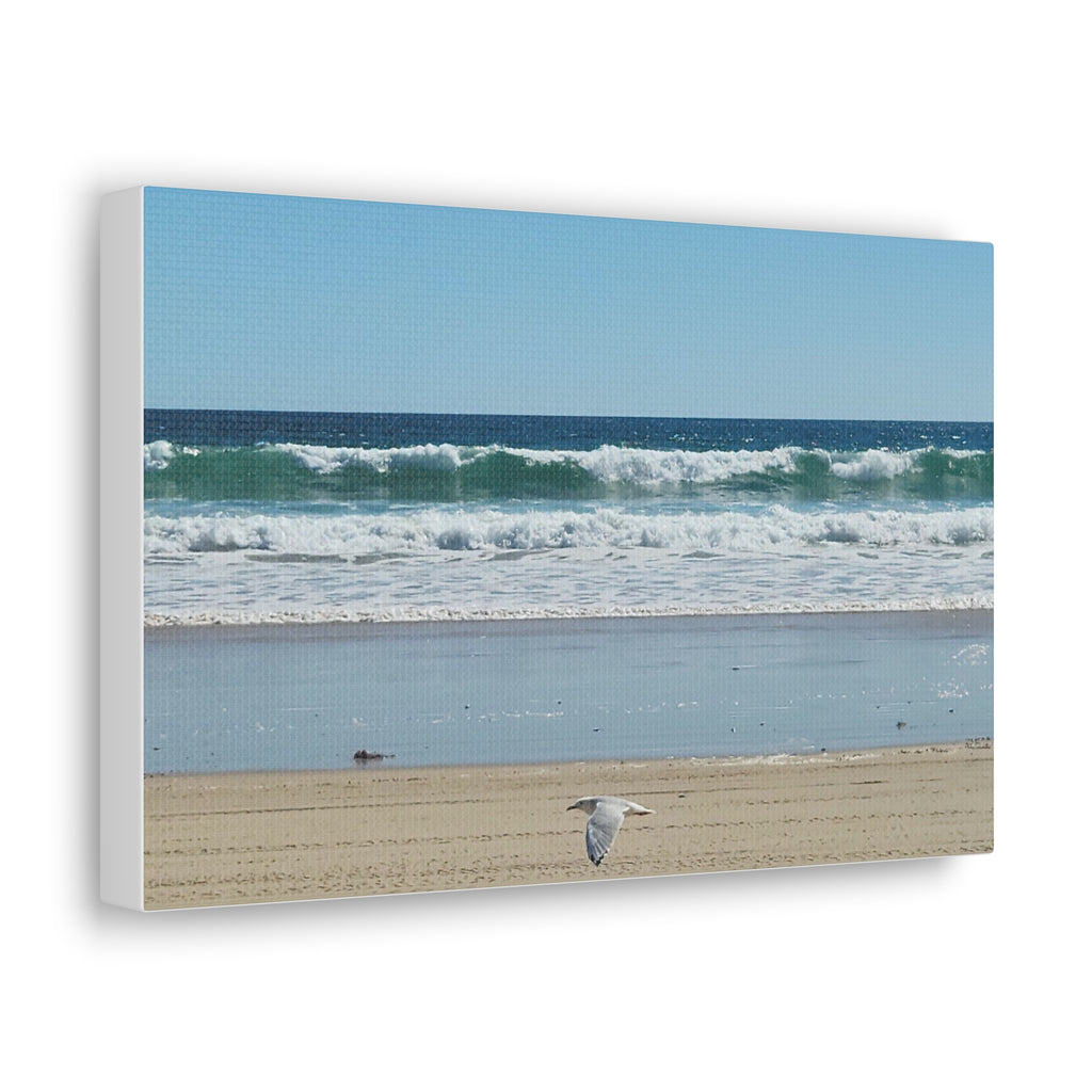 Seagull Beach Canvas Wall Art - Coastal Ocean Waves Photography