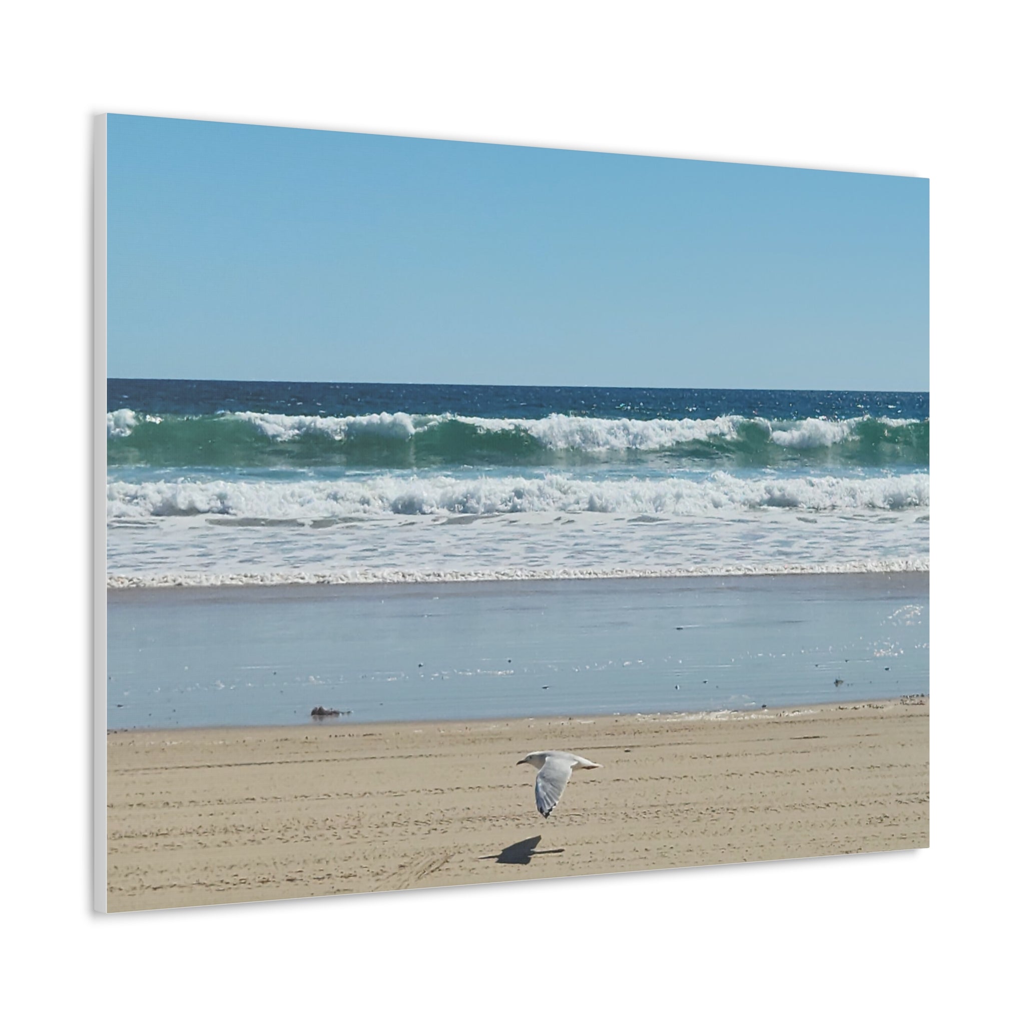 Seagull Beach Canvas Wall Art - Coastal Ocean Waves Photography