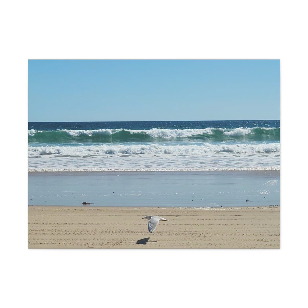Seagull Beach Canvas Wall Art - Coastal Ocean Waves Photography