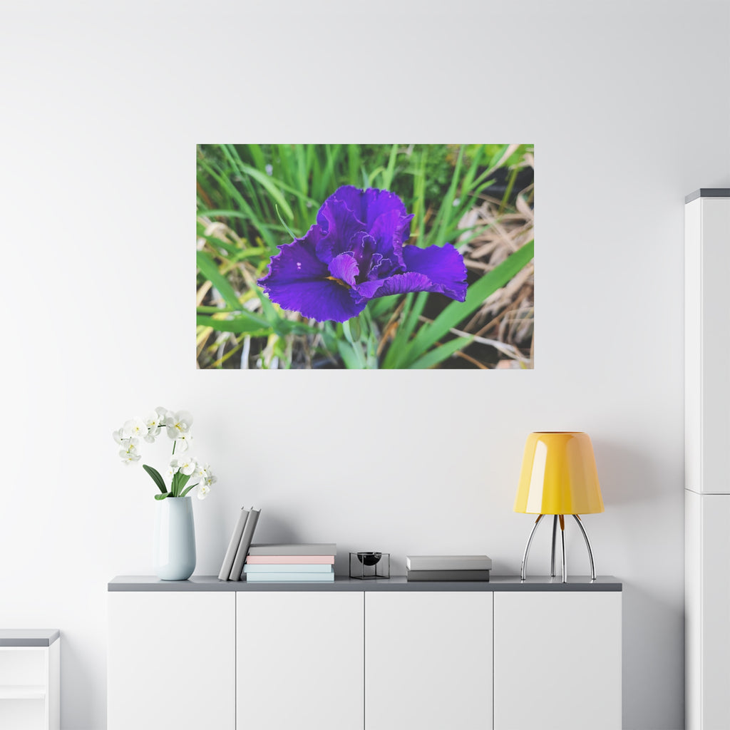 Purple Iris Floral Canvas Print — Matte Stretched Wall Art