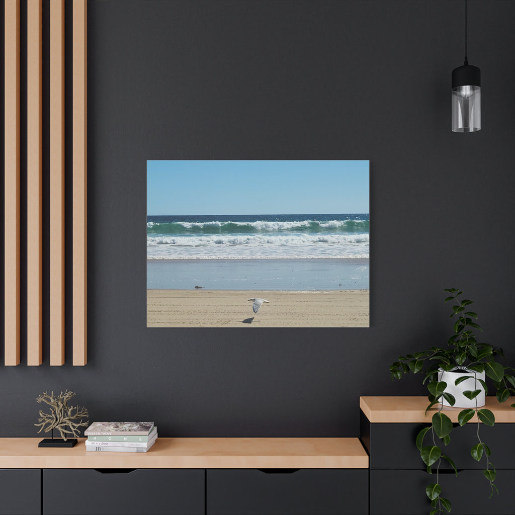 Seagull Beach Canvas Wall Art - Coastal Ocean Waves Photography