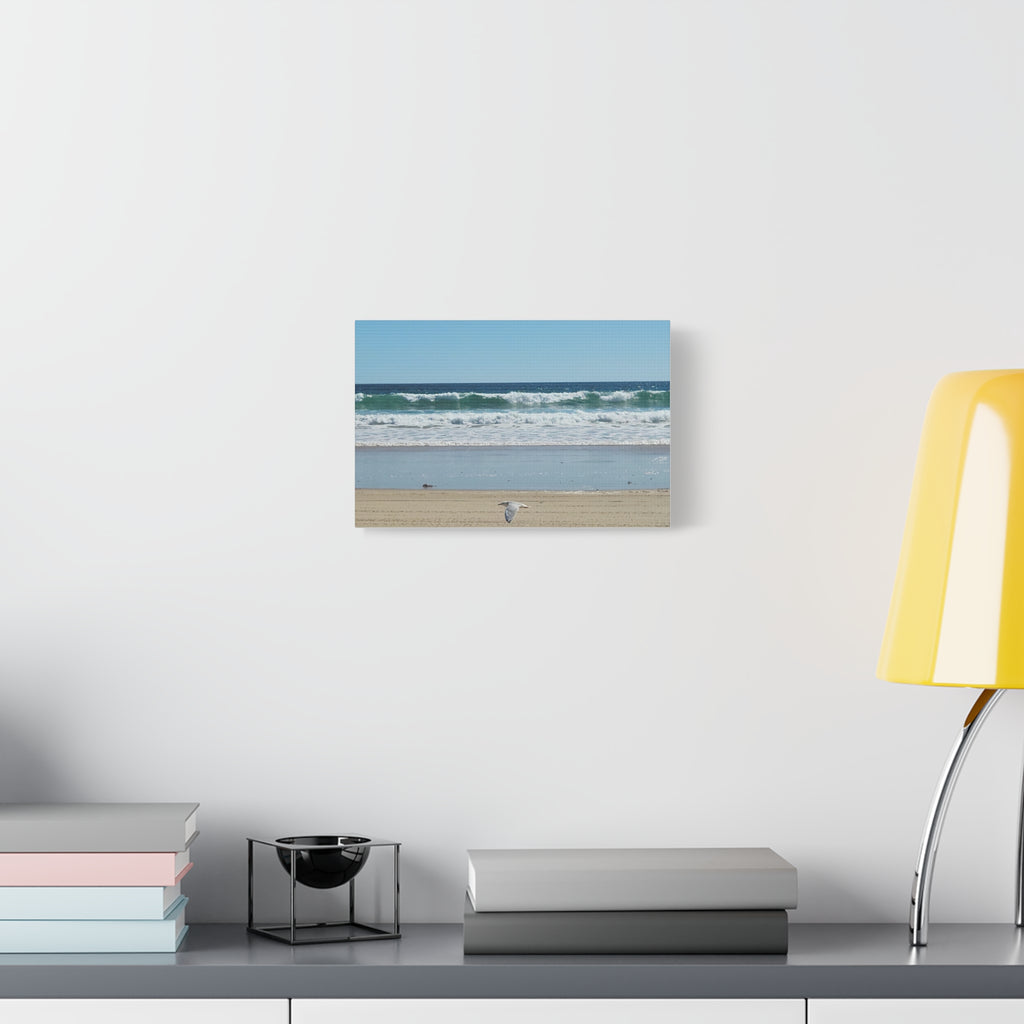 Seagull Beach Canvas Wall Art - Coastal Ocean Waves Photography