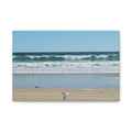 Seagull Beach Canvas Wall Art - Coastal Ocean Waves Photography