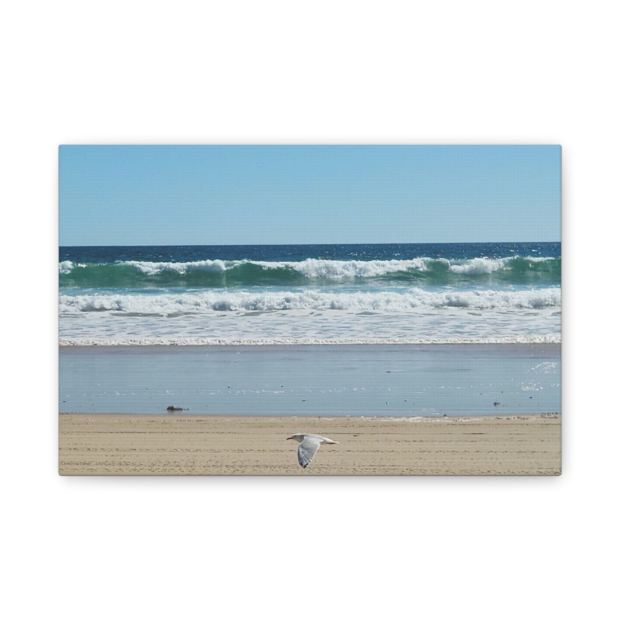 Seagull Beach Canvas Wall Art - Coastal Ocean Waves Photography